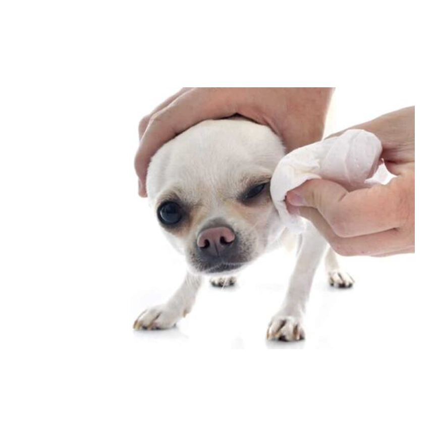 Perros - higiene y cuidados - higiene ocular